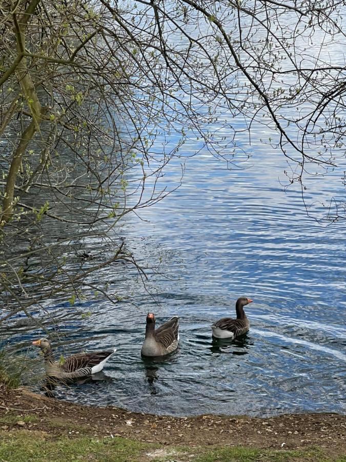 מלון Sunscape Breaks At Tattershall Lakes מראה חיצוני תמונה